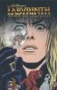 JIM HENSONS LABYRINTH BEYOND THE GOBLIN CITY TP [9781608861309]